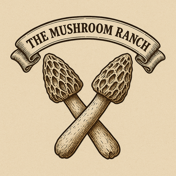 The Mushroom Ranch